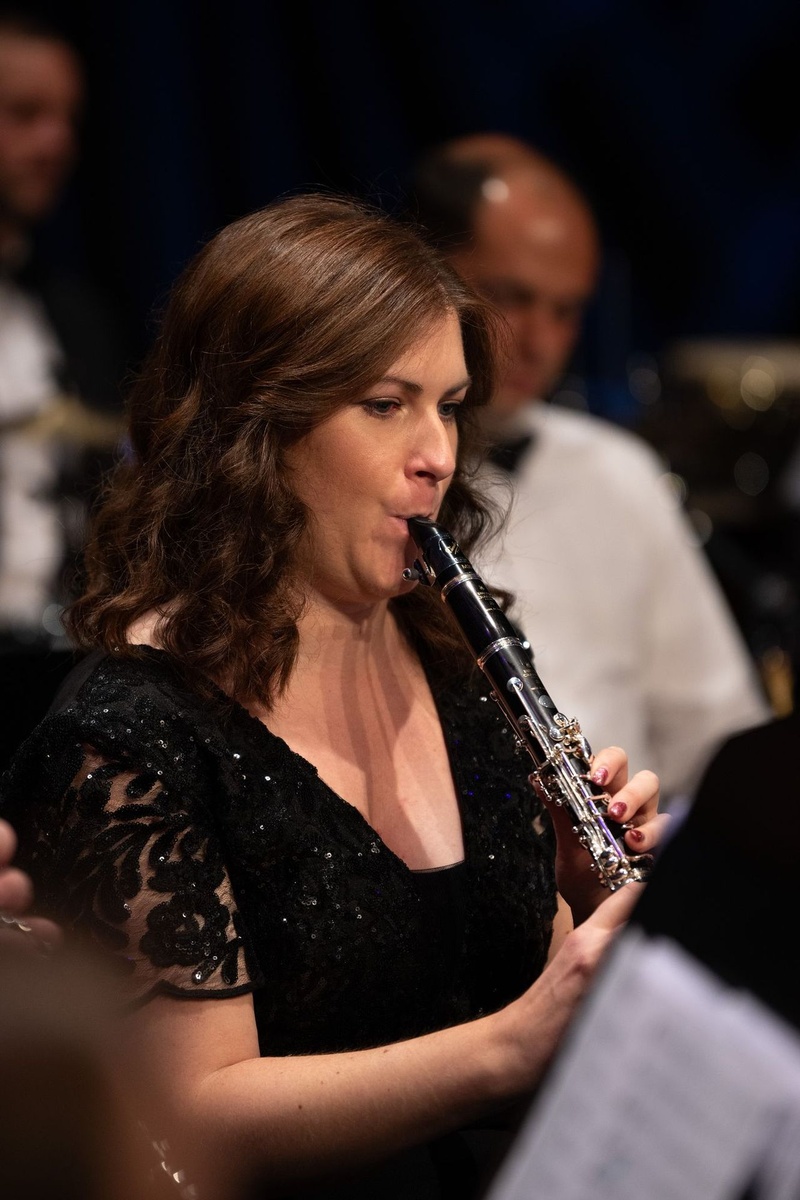 Disney's Symphonic Journey, Photo 4