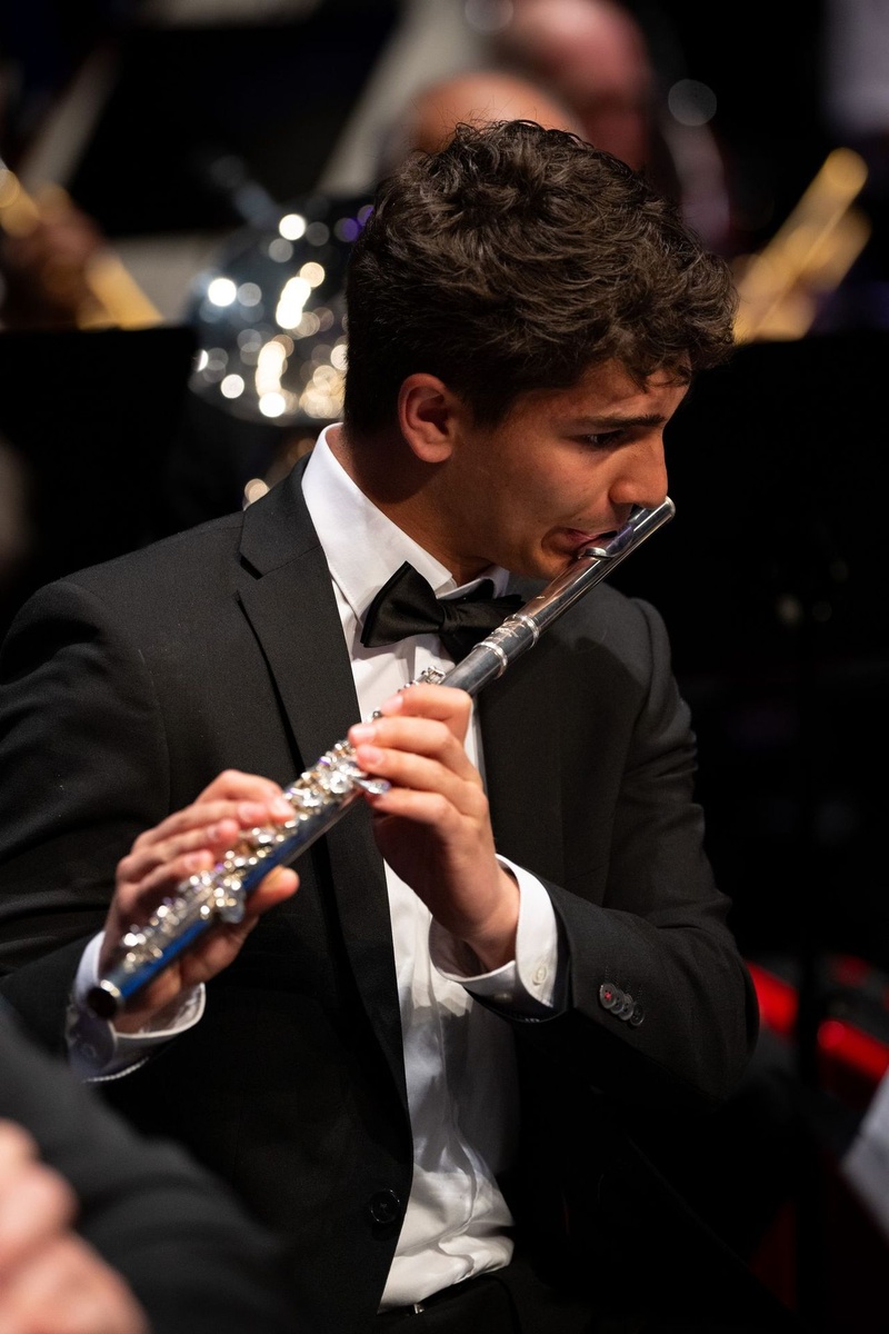 Disney's Symphonic Journey, Photo 8
