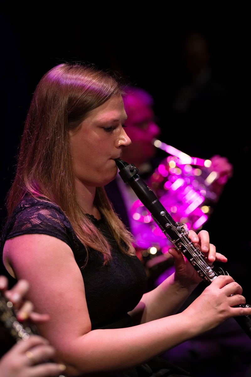 Disney's Symphonic Journey, Photo 22