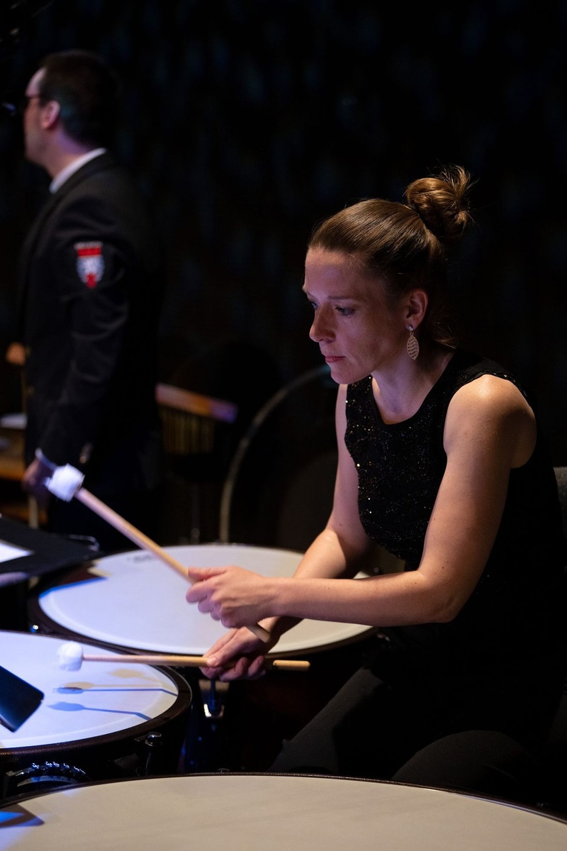 Disney's Symphonic Journey, Photo 35